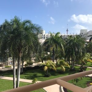 Meet your Posher, Toni